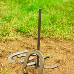 HORSESHOE SET